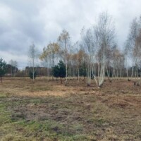 Nieruchomość gruntowa - Szczęsne, ul. Pliszki